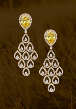 Sri Krishna Jewellers