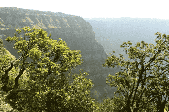 5 Must Visit Places in Maharashtra- Mahabaleshwar