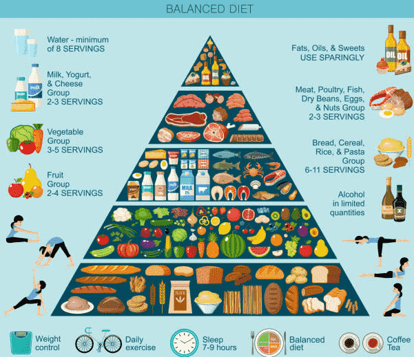 Importance of Balanced Diet For Every Age Group - SBNRI