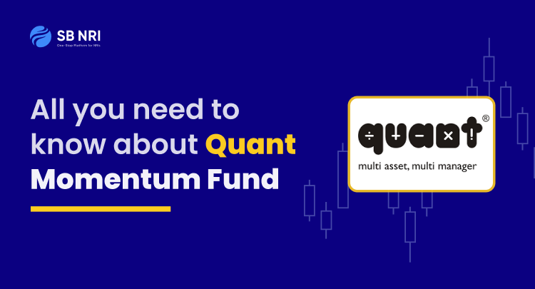 All you need to know about Quant Momentum Fund