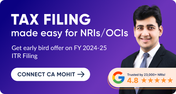 e-filing professional help for NRIs
